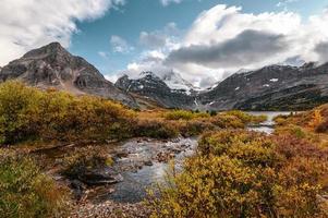 Mount Assiniboine mit Bach, der in goldener Wildnis im Provinzpark fließt foto