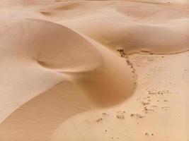 gewundene Sanddünen im Wüstenhintergrund foto