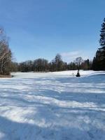 frühling im pawlowsky-park weißer schnee und kalte bäume foto