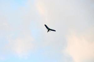 angetriebener Hängegleiter, der im blauen Himmel fliegt, motorisierte Hängegleiter-Draufsicht, Kopierraum foto