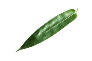 Grüne Bambusblätter isoliert auf weißem Hintergrund, Beschneidungspfad foto