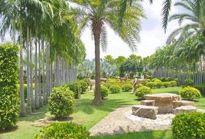 üppiger grüner botanischer garten und rasenweg. foto