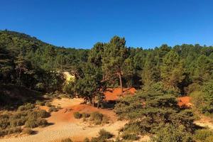 Grüner Wald in orangefarbenem Sand im französischen Colorado foto
