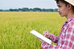 porträt eines jungen asiatischen erwachsenen bauern hält taplet und stift in den händen und schaut auf das reisfeld nach vorn, weicher und selektiver fokus, konzept für intelligente landwirtschaft, intelligenter landwirt und intelligentes landwirtschaftliches leben. foto