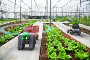 autonomer fahrerloser Kleintraktor, der auf Gemüsefarmen arbeitet, zukünftige 5g-Technologie mit intelligentem Landwirtschaftskonzept foto