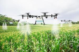 landwirtschaftsdrohne fliegt zu gesprühtem dünger auf den zuckermaisfeldern foto