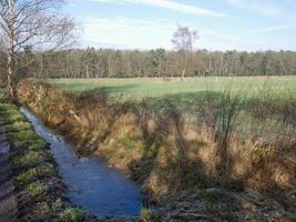 frostiger Morgen im Winter foto