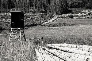 Graustufenaufnahme eines Holzleiterständers für die Jagd in der Landschaft foto