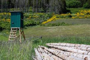 Leiterständer aus Holz für die Jagd in der Landschaft foto