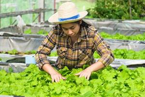 eine Gärtnerin, die sich im heimischen Gemüsegarten um Bio-Gemüse kümmert. Bäuerin, die auf ihrem Bio-Bauernhof arbeitet. home gardening und gemüse anbauen konzept.