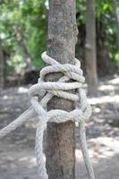 Weißes Seil an den Baum gebunden foto