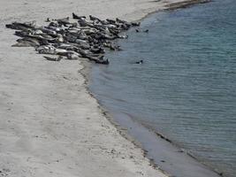 die insel helgoland foto