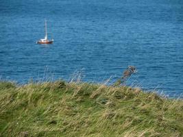 Insel Helgoland in der Nordsee foto