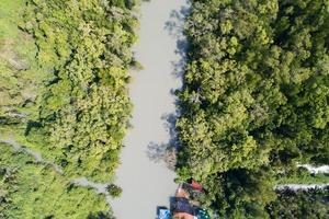 Erstaunlich reichlich Mangrovenwald Luftbild von Waldbäumen Regenwald-Ökosystem und gesunde Umwelt Hintergrundtextur von grünen Bäumen Wald von oben nach unten Hochwinkelansicht foto