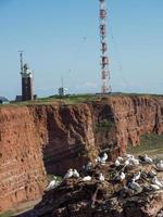 insel helgoland in deutschland foto