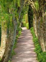 die stadt inverness und die schottischen highlands foto