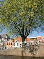 die stadt haarlem in den niederlanden foto