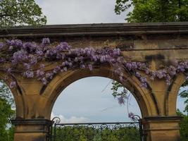 Garten und Küste in der Nähe von Newcastle in England foto