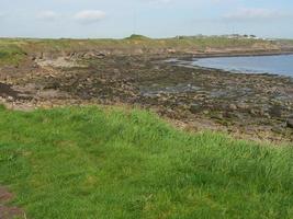 Garten und Küste in der Nähe von Newcastle in England foto