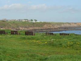 Garten und Küste in der Nähe von Newcastle in England foto