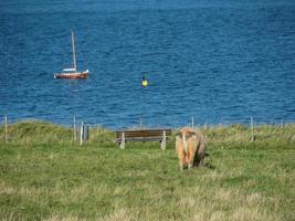 Insel Helgoland in der Nordsee foto