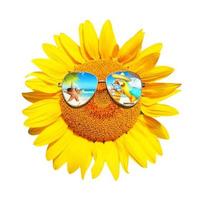 lustige Sonnenblume mit Sonnenbrille auf weißem Hintergrund foto