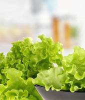 grüner Salat foto
