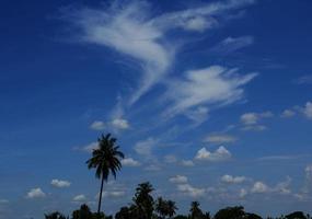 Sky-Cumulus-Atmosphäre, die an einem sonnigen Tag natürlich schön am Himmel schwebt, mit Kokospalmen als Hintergrund vor einem wunderschönen blauen Himmelshintergrund. foto