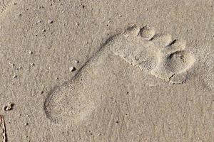 Schöne detaillierte Fußabdrücke im Sand eines Strandes im Sommer. Platz Hintergrund kopieren foto