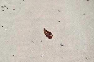 Detaillierte Nahaufnahme auf Sand an einem Strand an der Ostsee foto