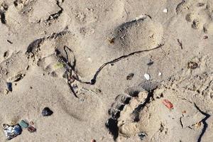 Schöne detaillierte Fußabdrücke im Sand eines Strandes im Sommer. Platz Hintergrund kopieren foto