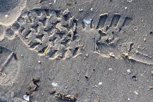 Detaillierte Nahaufnahme auf Sand an einem Strand an der Ostsee foto