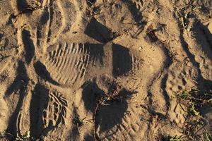 Detaillierte Nahaufnahme auf Sand an einem Strand an der Ostsee foto