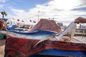 frisch gefangener roher Fisch auf Teppich zum Verkauf im Hafen foto