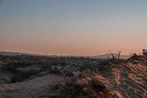 schöne Landschaft von Büschen in Sanddünen gegen klaren Himmel foto