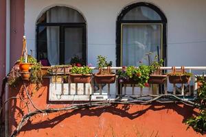 Nahaufnahme eines charmanten Fensters eines weißen alten Hauses mit dekorierten Töpfen mit grünen Pflanzen und Blumen foto