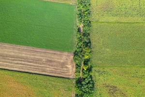 Luftaufnahme von oben von einer fliegenden Drohne eines Landes mit gesäten grünen Feldern auf dem Land am Frühlingstag. Land mit gewachsenen Pflanzen foto