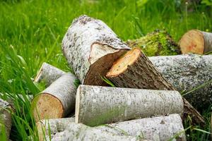 Stapel gehacktes Brennholz. umweltfreundlicher Biokraftstoff. Holzstapel in der Nähe des Dorfhauses. foto