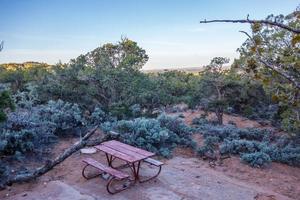 Ein alter knorriger Wacholderbaum in der Nähe des Navajo Monument Park Utah foto
