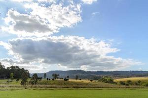 schöne landschaft des thung salaeng luang nationalparks, savanne im nationalpark von thailand foto