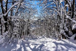 06.01.2022 Campogrosso Schnee und Bäume 3 foto