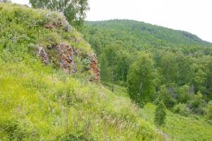 Wald und Steine in den Bergen im Sommer. foto