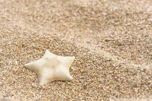 Seestern auf dem Sand foto