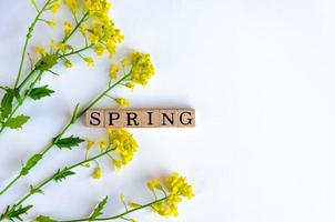 gelbe Blumen auf weißem Hintergrund mit dem Wort Frühling, Banner foto