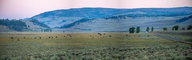 die untergehende sonne über dem lamar-tal nahe dem nordöstlichen eingang des yellowstone-nationalparks in wyoming. foto