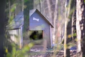 Hundehütte im bewaldeten Wald foto