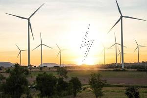 Windkraftanlagen sind alternative Stromquellen. konzept nachhaltiger ressourcen, schöner himmel mit windgeneratoren, erneuerbare energien. Vögel fliegen als elektrisches Symbol zum Nest zurück foto