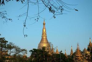 Shwedagon-Pagode, Yangon. foto