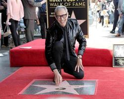 los angeles - 14. juni jeff goldblum bei der feier zu ehren von jeff goldblum mit einem stern auf dem hollywood walk of fame am 14. juni 2018 in los angeles, ca foto