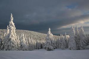 Winterlandschaft foto